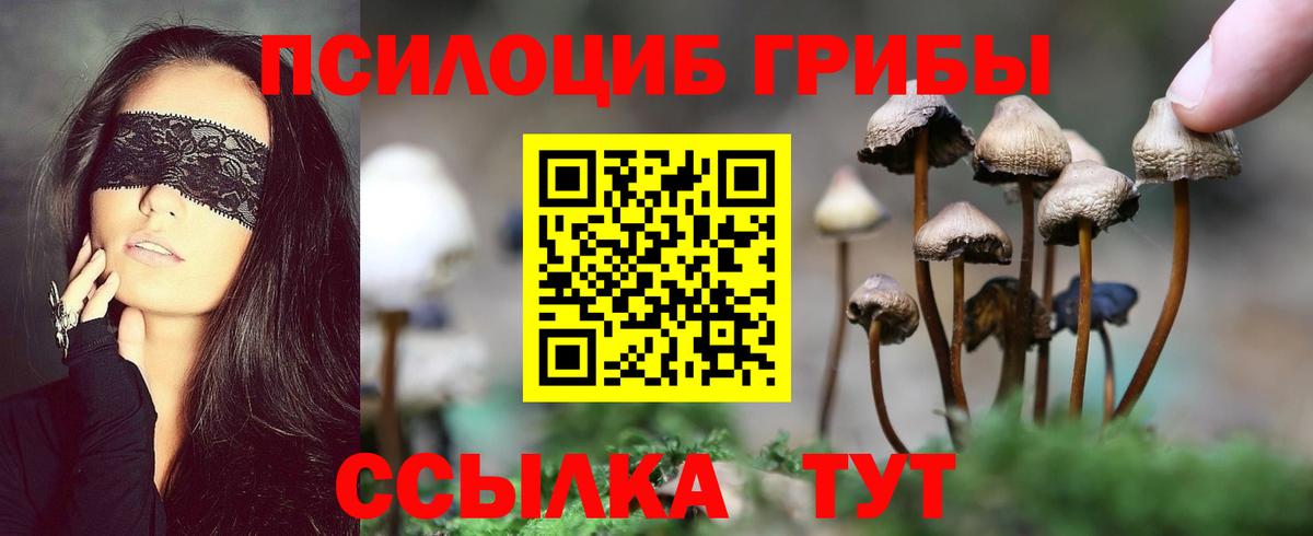 Псилоцибиновые грибы мицелий  как найти наркотики  Каменск-Уральский  Вход с VPN 